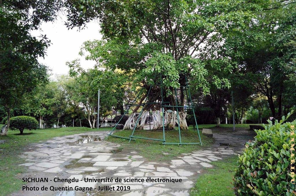 Chengdu- Universite Science electronique 040.jpg